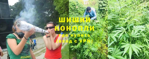 дживик Горняк