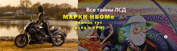 дживик Горняк